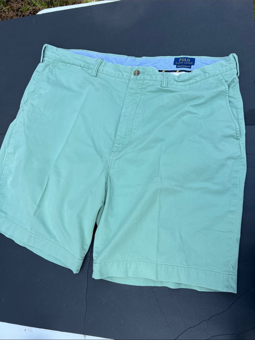 Polo by Ralph Lauren Mint Green Flat-Front Chino Shorts